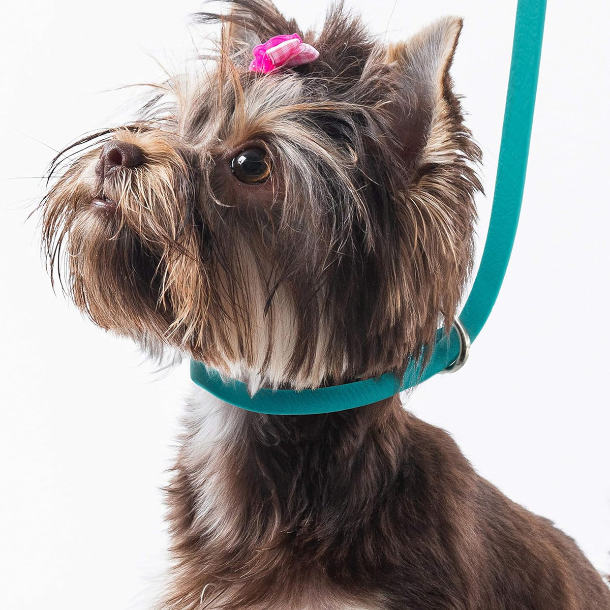 Jelly Pet Grooming Loop Slip Style (3/8" x 25", Hot Pink) | Made in the USA