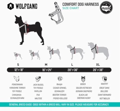 Wolfgang Heavy Duty Adjustable Dog Harness, Pull-Tested to Over 800 lbs for Walking & Training, DigiFloral Print, Medium