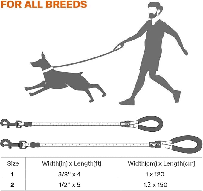 Taglory Rope Dog Leash 4 FT with Comfortable Padded Handle, Highly Reflective Threads Leash and Anti-Tangle Clip for Walking Small Dogs, 3/8 inch, Pink