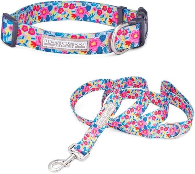 Lucky Love Dog - Adjustable Dog Collar and Leash Set with Easy Click Buckle for Medium Dogs, Durable, & Comfortable Collar for Male & Female Dogs, Puppies & Adult Ones- Valentina Combo, Medium