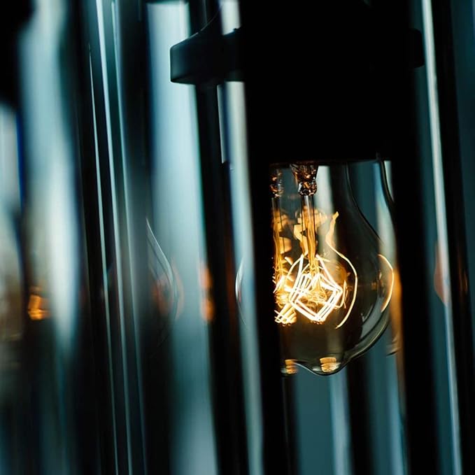 Warm Incandescent Light Bulbs 60 Watt,A19/A60 Vintage Style Edison Bulbs E26,Soft Yellow Light Bulbs,Amber Bulbs,Retro Light Bulb Old Fashioned,Halogen Dimmable Edison Bulb Squirrel Cage