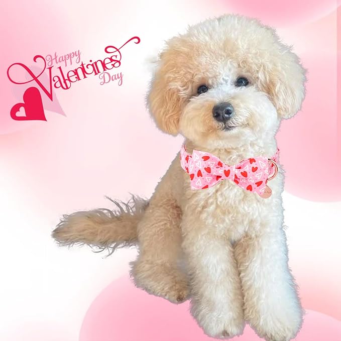 Valentine’s Day Dog Collar with Bow Tie, Red Heart Bowtie Collar with Metal Buckle, Valentine’s Day Gift Pet Collar for Puppy Girl Boy Dog or Cat, Wedding Dog Collar, XS, Neck 8-12in