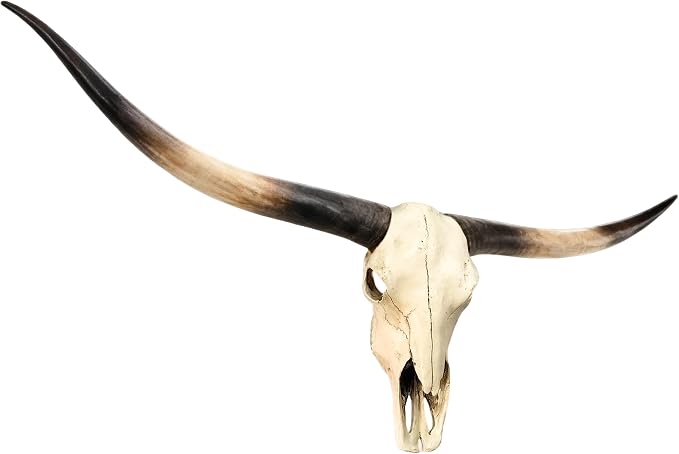 JUNTHORB 70in Longhorn Wall Decor, Extra Large Authentic Croissant,Cow Skull Wall Decor,cow horns, cow horn wall decoration, long horn skull,Handmade Farmhouse Decor