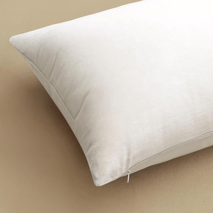 MIULEE 24x24 Inch Pack of 2 Euro Velvet Throw Pillow Covers Pure White | Soft Solid Decorative Euro Sham, Modern Luxury Home Decor, for King Bed Sofa Couch Bedroom Livingroom
