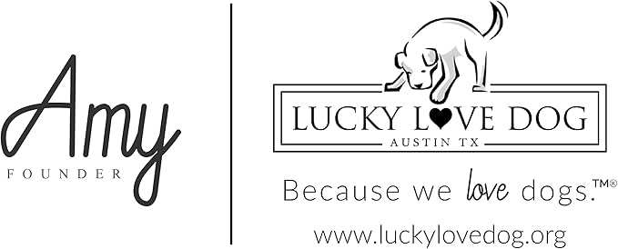 Lucky Love Dog - Adjustable Dog Collar with Easy Click Buckle for Small Ones, Durable, & Comfortable for Male & Female Dogs, Pet Collar for Puppies & Adult Dogs - Carriebelle, XS