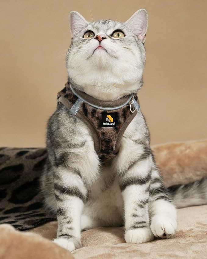 BELLA & PAL Step in Vest Harness for Small and Medium Dogs, No Pull Small Dog Harness with Leash Set, Comfortable Air Mesh Dog Vest Harness with Reflective Strip (Brown Leopard, S)