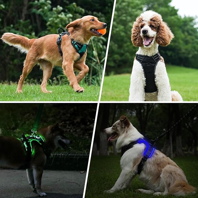 Taglory Light Up Dog Harness, Rechargeable No Pull Dog Vest with 3 Lightning Modes, Reflective Dog Harness with 2 Leash Clips & 4 Adjustable Slide Strips for Medium Dogs, Black-Blue, M