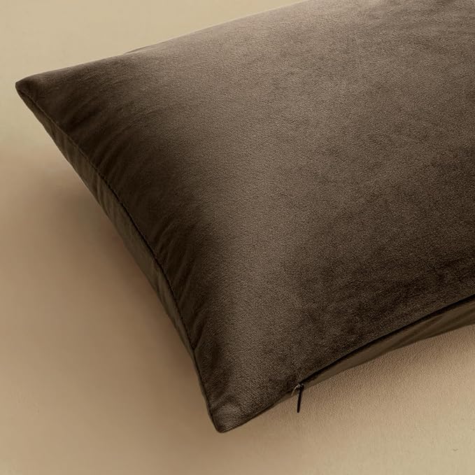 MIULEE 24x24 Inch Pack of 2 Euro Velvet Throw Pillow Covers Coffee | Soft Solid Decorative Euro Sham, Modern Luxury Home Decor, for King Bed Sofa Couch Bedroom Livingroom