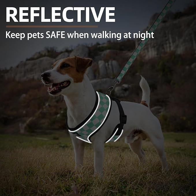 PUPTECK Soft Mesh Dog Harness and Leash Set Pet Puppy Cat Comfort Padded Vest No Pull Harnesses, Checkered Green&White, S