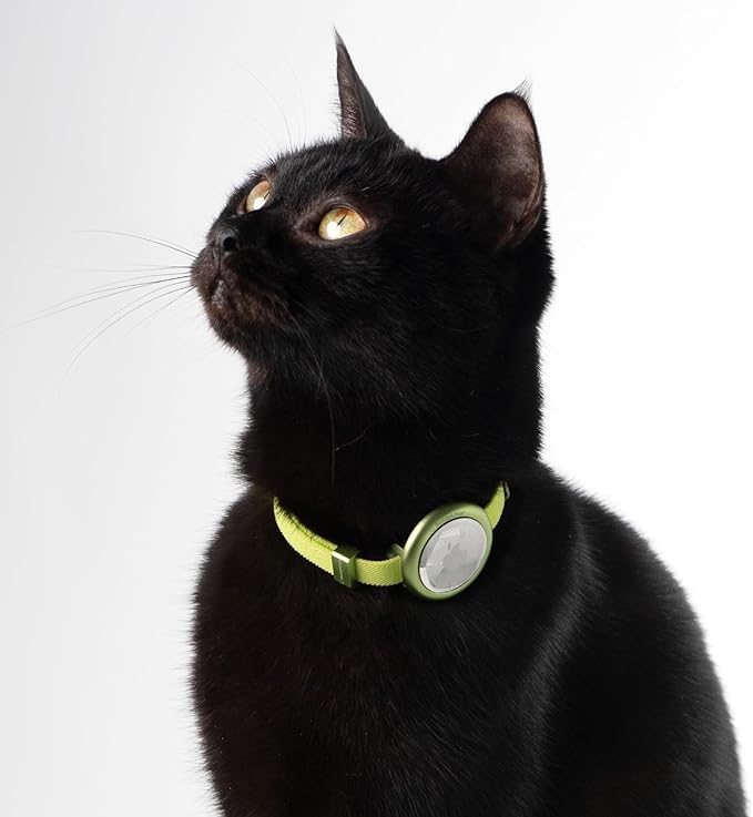 Safety Cat Collar Pro - U.S. IDA Gold Awarding Design, Elastic Quick Release Cat Collar with Buckle Non Breakaway - Lightweight for Kitten All Small Large Cats (Glacier Silver, S 5.9-11.8")