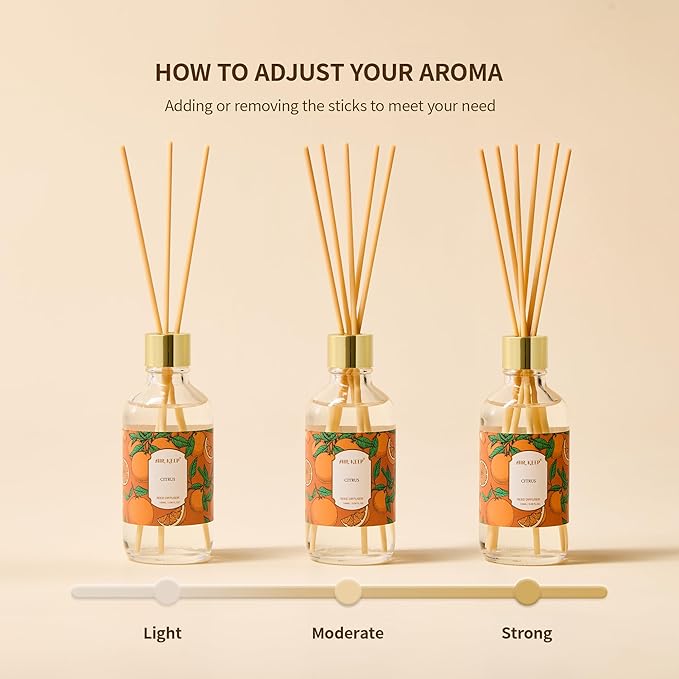 Airkeep Reed Diffuser Oil Set with Reed Sticks,Vanilla Aromatherapy Oil Scent Diffuser for Home Office Bathroom Decoration Perfume and Gifts 3.38 oz/100ml