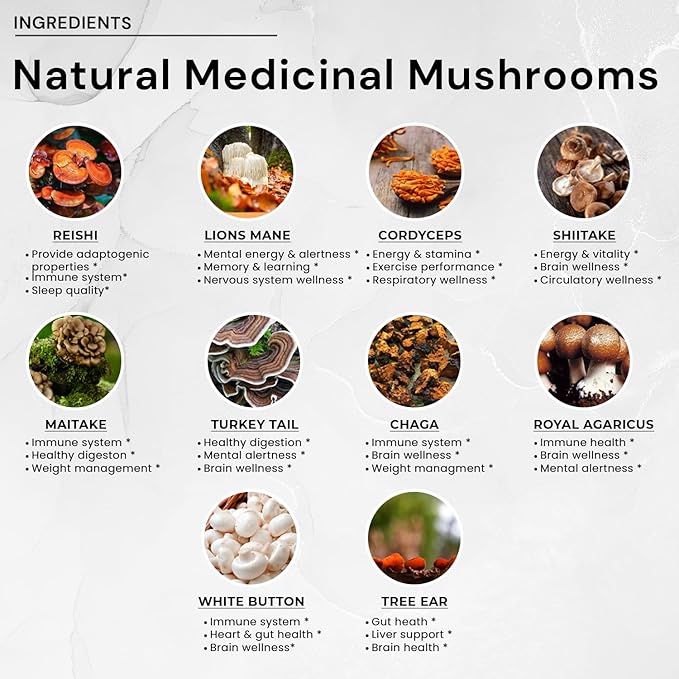 ACEWORKZ 10 Mushroom Complex Supplement - Lions Mane, Reishi and Cordyceps & More - Nootropic for Brain Health, Memory & Focus - Immunity & Energy (90 Capsules)