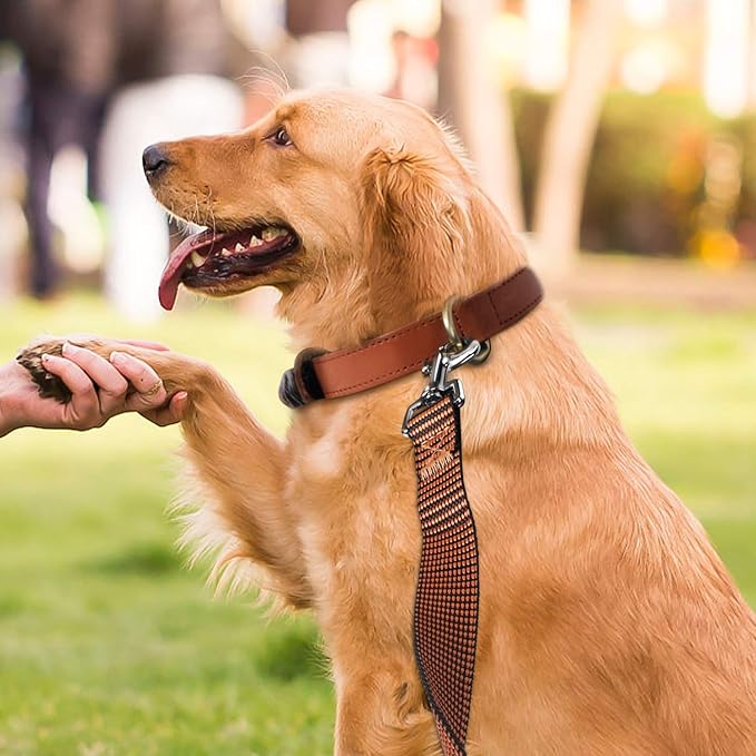 Hi Kiss Dog/Puppy Obedience Recall Training Agility Lead - 15ft 20ft 30ft 50ft 100ft Training Leash - Great for Training, Play, Camping, or Backyard(20ft,Black_Orange)