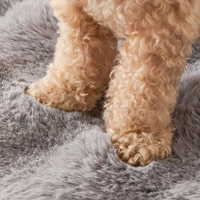Dream Cloud Pet Sofa Bed for Couch, Fluffy Fuzzy Cozy Washable Couch Cover,Luxurious Cozy Dog CouchBed,Non-Slip Fluffy Plush Dog Sofa Mat for Furniture Protector for Small, Medium Dogs and Cats