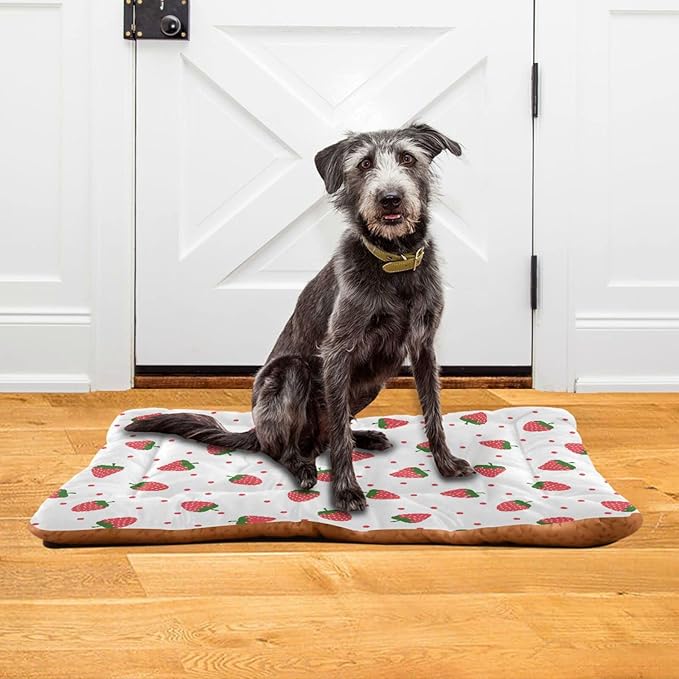 Strawberry Fruit Pet Bed Cute Dog Bed Mat Absorbing Non Slip Pad Pet Sleeping Mat for Small, Medium, and Large Dogs Puppy Cat 24 in x 18 in