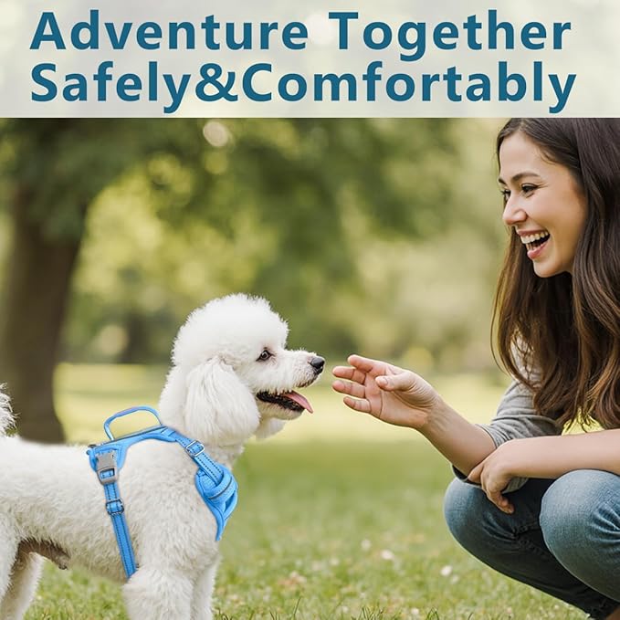 BARKBAY Dog Harness No Pull with ID Tag Pocket - Heavy Duty, Reflective, Easy Control for Large Dogs(Blue,XS)