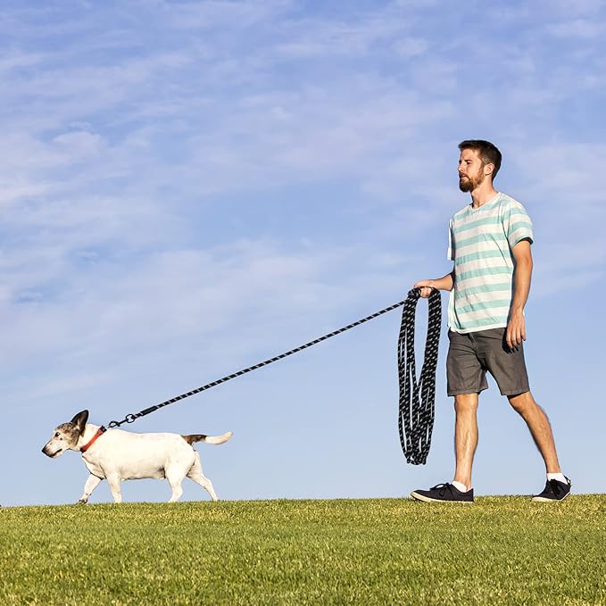 Long Dog Leash for Training 30Ft-Reflective Nylon Rope with Swivel Hook-Recall Agility Lead for Large Small Medium Dogs Outside Walking Hiking-Black