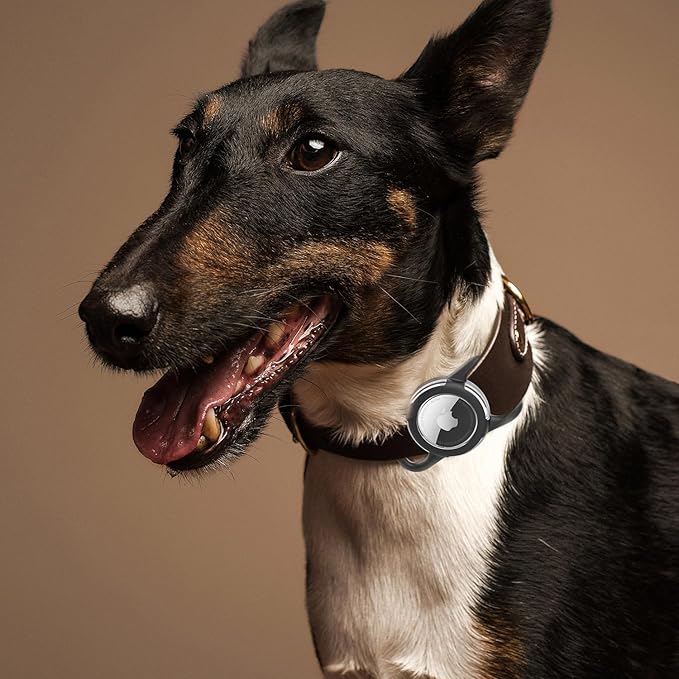 Waterproof Airtag Holder for Dog Collar, Soft Full-Body Protective Airtag Holder for Dog & Cat Collars, Ultra-Durable, Easy Installation, Lightweight Clear Airtag Case (White, Regular)