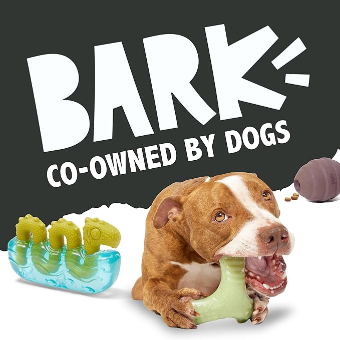 Barkbox Super Chewer Tough Dog Chew Toys for Aggressive Chewers, Plush 2 Toys in 1 (Hare Raiser - Large)