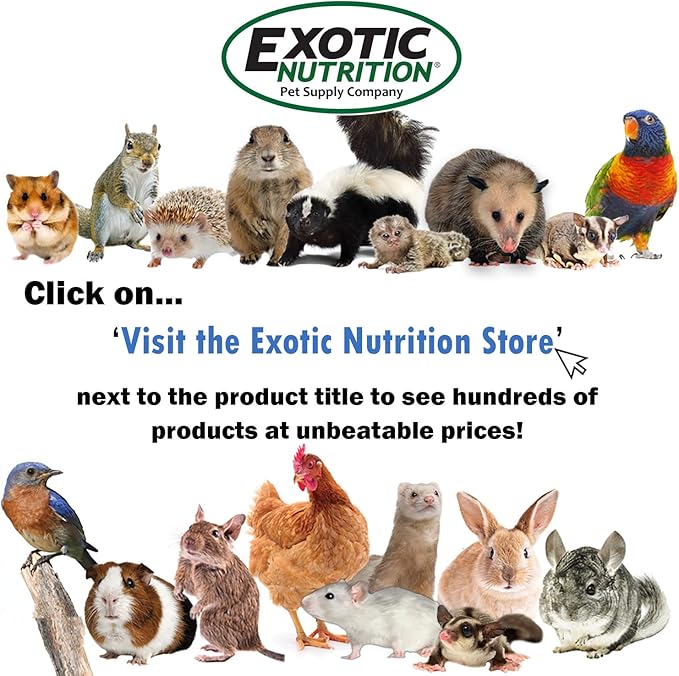 Exotic Nutrition Sugar Glider Treat Variety Pack (9.5 oz.) - Healthy Natural Sugar Glider Treat Assortment - Yogu Drops, Mango, Garden Fresh Re-Hydrate, and Banana - Sampler Variety Value Package