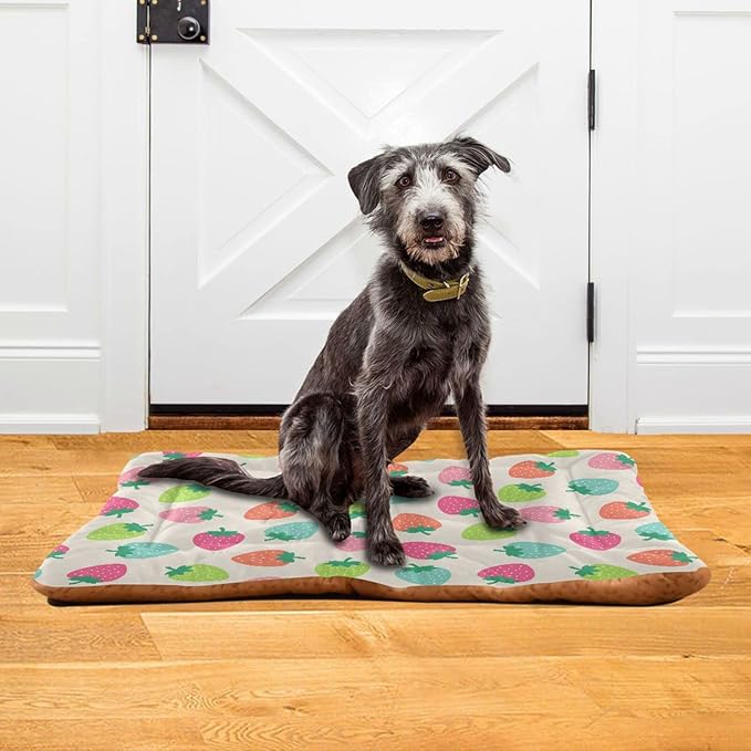 Strawberry Fruits Pet Bed Cute Dog Bed Mat Absorbing Non Slip Pad Pet Sleeping Mat for Small, Medium, and Large Dogs Puppy Cat 24 in x 18 in