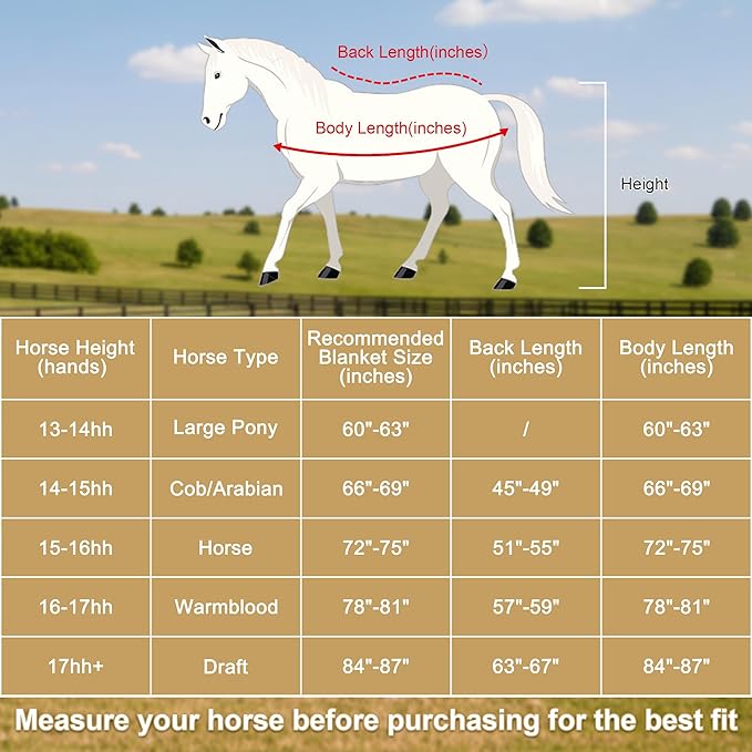 Horse Fleece Cooler, Blanket Liner - 300g Anti-Pilling Fleece, Moisture-Wicking, Cooling & Drying for Post-Workout, Bath & Travel, Prevent Overheating & Chilling Mintgreen 75