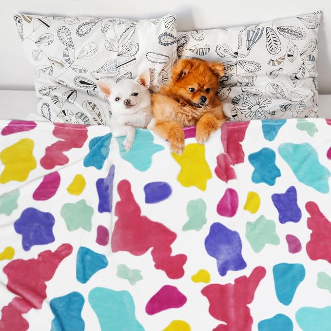 HSEEC Blankets & Throws Queen Size Soft Fleece Blanket Throw Cozy Blanket for Bed Throw 90x90 inches