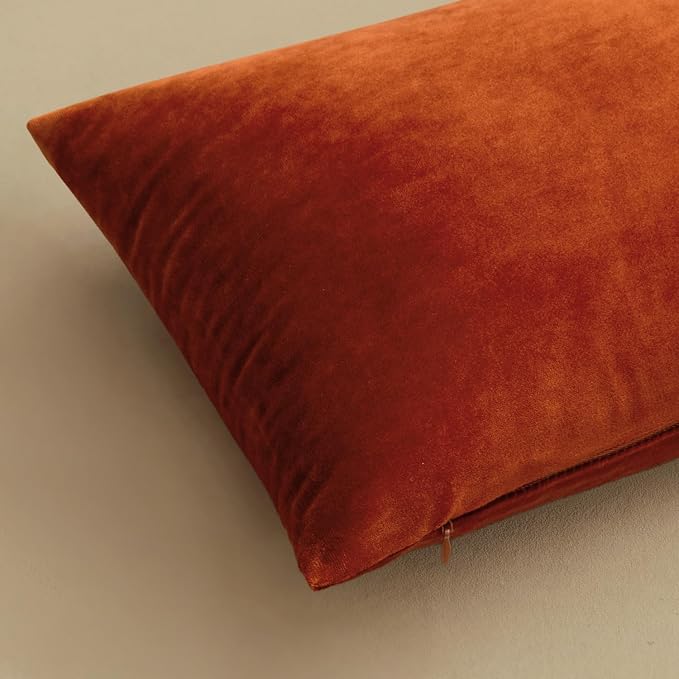 MIULEE Velvet Fall Throw Pillow Covers 22x22 Inch Pack of 2 Burnt Orange | Soft Solid Decorative Pillow Covers, Modern Luxury Home Decor, for Couch Chair Sofa Bedroom Livingroom