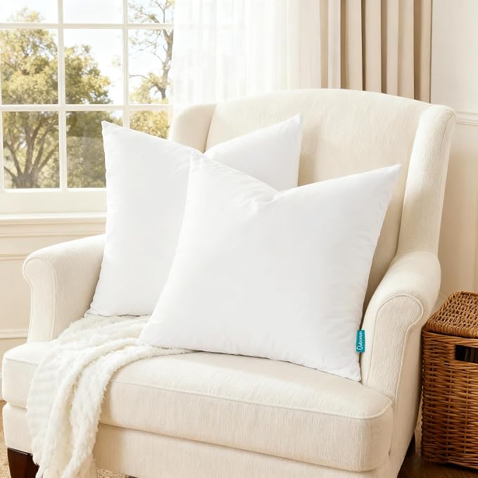 Oubonun 20x20 Feather Downthrow Pillow Inserts, 100% Cotton Cover, Medium Firm Decorative Pillow Inserts for Couch, Sofa, Bed, Chair (Set of 2)