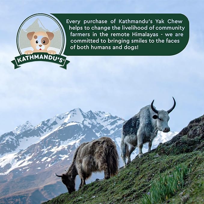 Authentic Himalayan Yak Cheese for Dogs - Jumbo (Pack of 1) - Sourced from Pristine Himalayan Foothill, Rawhide-Free, NO preservatives