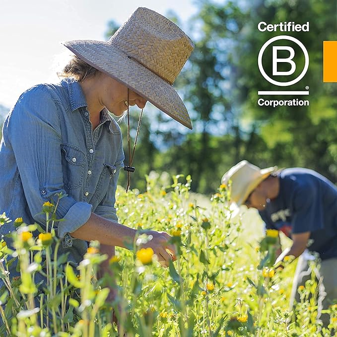 Herb Pharm Liquid Extract for Healthy Veins and Circulation, Horse Chestnut, 1 Fl Oz (Pack of 2)