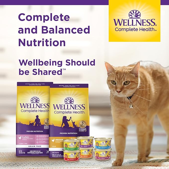 Wellness Complete Health Pate Adult Wet Cat Food, Natural, Protein-Rich, Grain Free, 5.5 Ounce, 24 Pack, (Turkey)