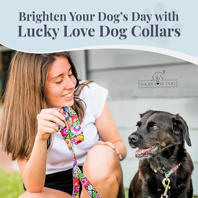 Lucky Love Dog - Easy Click Buckle Dog Collar with Leash Set Combo, Durable & Comfortable for Male & Female Dogs, Pet Collar for Medium Dogs, Secure Fit - Blackbird Combo, Medium