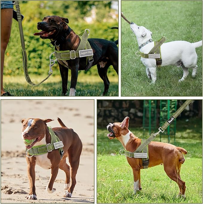 SlowTon No Pull Dog Harness - Heavy Duty Dog Harness and Leash Set for Medium Large Dogs, Reflective Tactical Harness with Soft Padded and Front Clip for Easy Walk and Training (Green XL)
