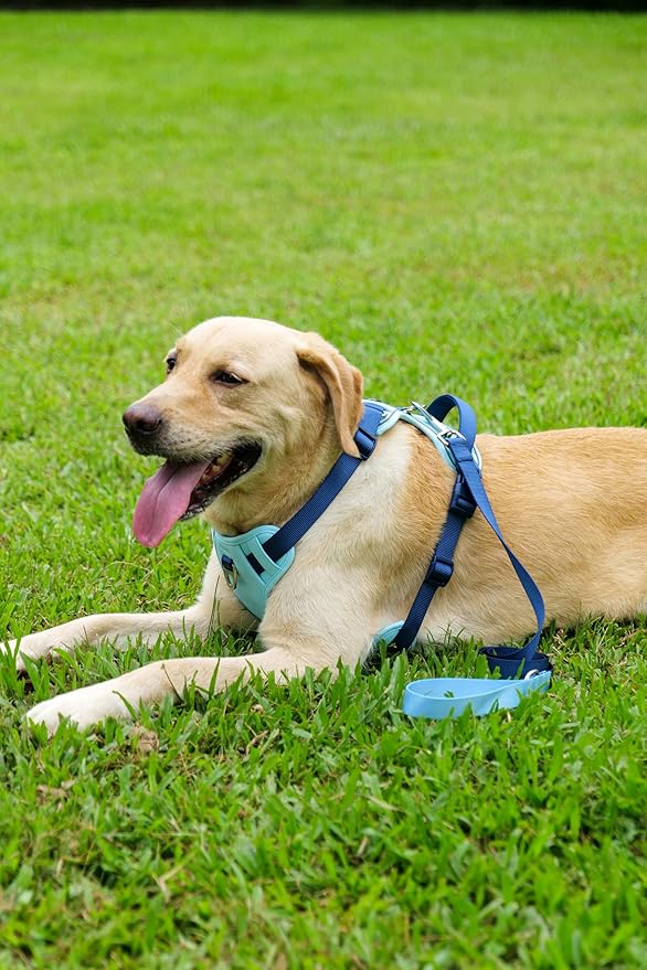 3 in 1 No Pull Dog Harness Leash and Collar Set, Soft Adjustable Dogs Vest Reflective and Comfortable Handle Blue Medium