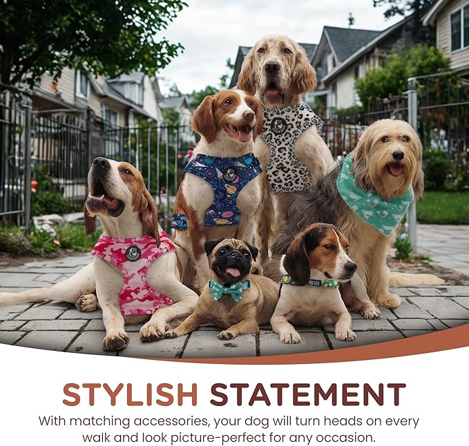 No Pull Harness and Leash Set - 6-in-1 Adjustable Vest Harness and Collars for Medium and Large Dogs. (Military Pink, Medium)