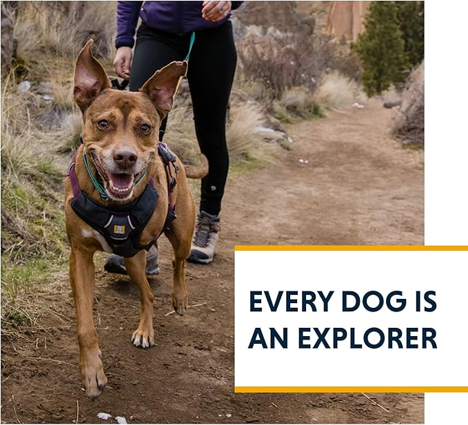 Ruffwear, Web Master, Multi-Use Support Dog Harness, Hiking and Trail Running, Service and Working, Everyday Wear, Blaze Orange, X-Small