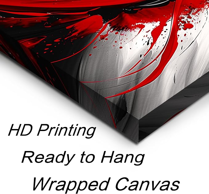 Black and White Red Large Canvas Wall Art for Living Room Framed Print Picture Painting Bedroom Office Wall Decor Modern Room Abstract Wall Decorations Artwork Size 30x60 Ready to Hang