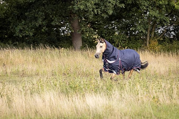 LeMieux Kudos 200g Turnout Blanket - 1680Denier Waterproof Outer - Detachable Neck Inlcluded - Navy - 84"