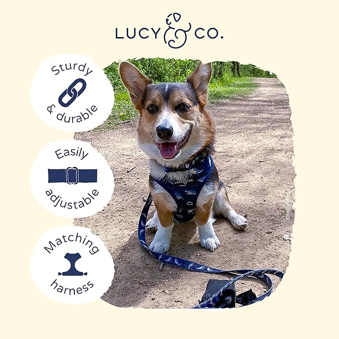 Lucy & Co. Shark Attack Dog Collar - Durable Lightweight Designer Collar for Pets - Adjustable Metal Safety Buckle - Navy White Shark - Small