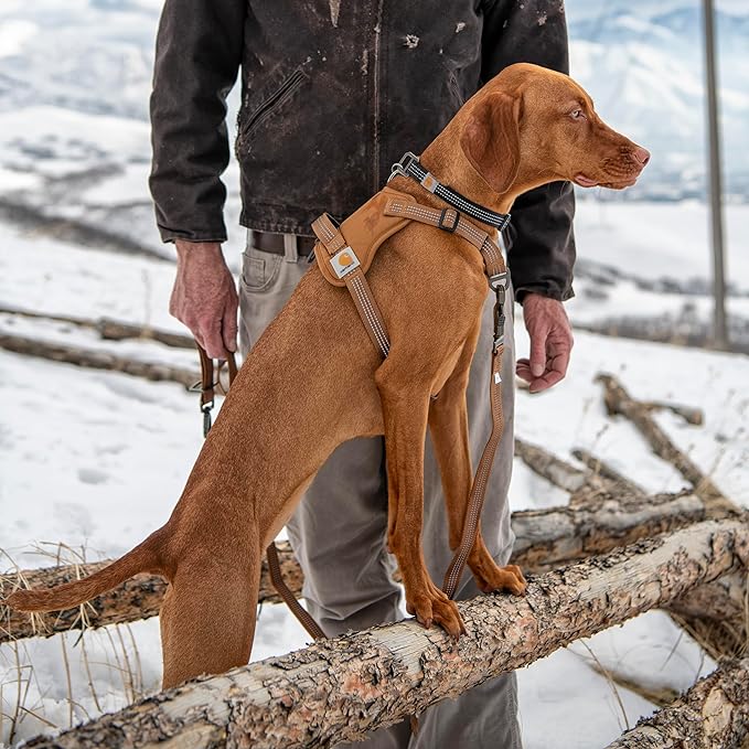 Carhartt Nylon Duck No Pull Dog Harness, Fully Adjustable Dog Harness with Quick Control Handle and Reflective Accents, Carhartt Brown, Large