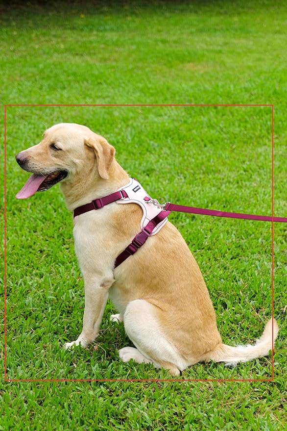 3 in 1 No Pull Dog Harness Leash and Collar Set, Soft Adjustable Dogs Vest Reflective and Comfortable Handle Pink X-Large