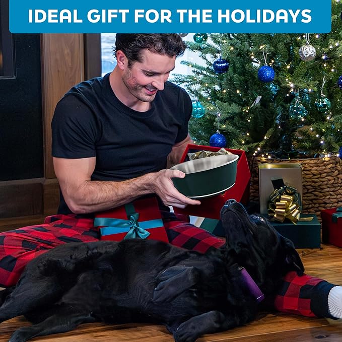 Master Pet Supply Stainless Steel Dog Bowls Set of 2 (128 Oz Each) with Non-Slip Rubber Base - Mango Tango - Basic Dog Food Bowl Water & Food Bowls for Small Medium Large Dogs & Cats, Metal Dish