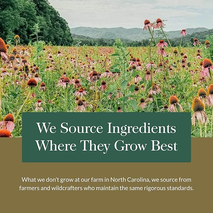 Gaia Herbs Respiratory Mushroom Blend - Immune Support Herbal Supplement to Help Maintain Overall Lung and Respiratory Health - WIth Reishi and Cordyceps* Mushrooms - 40 Vegan Capsules (40-Day Supply)