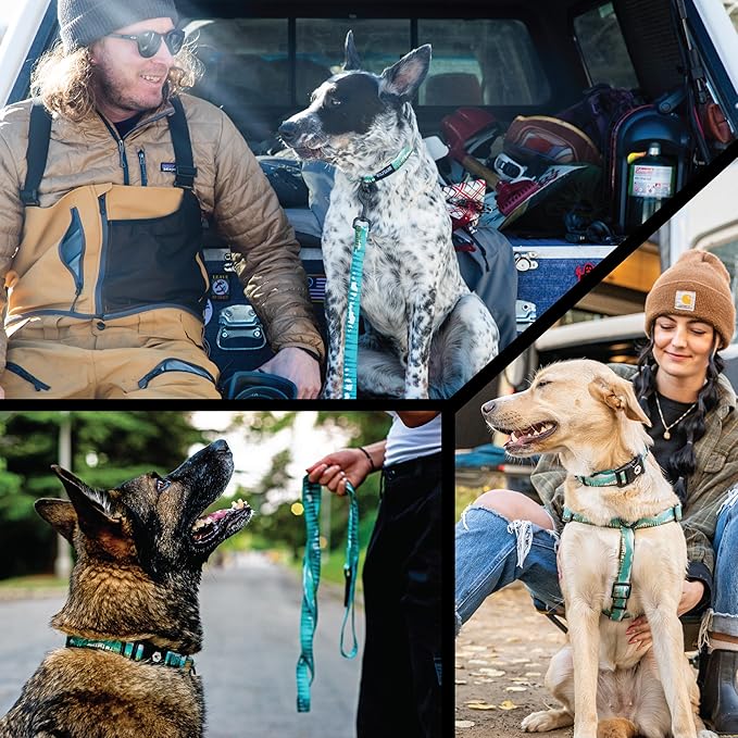 Wolfgang Heavy Duty Adjustable Dog Harness, Pull-Tested to Over 800 lbs for Walking & Training, GreatEscape Print, Extra Large