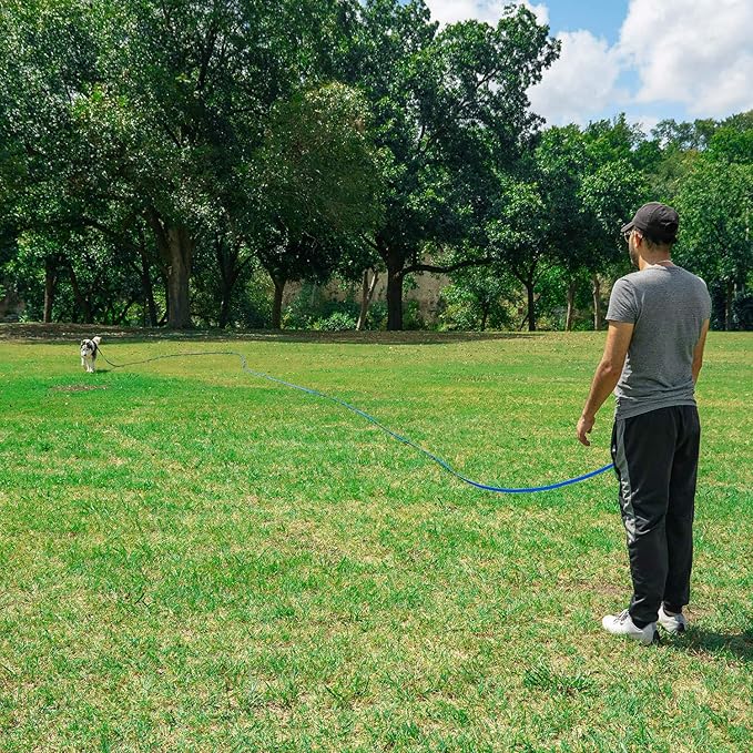 Hi Kiss Dog/Puppy Obedience Recall Training Agility Lead - 15ft 20ft 30ft 50ft 100ft Training Leash - Great for Training, Play, Camping, or Backyard (50 Feet, Red)
