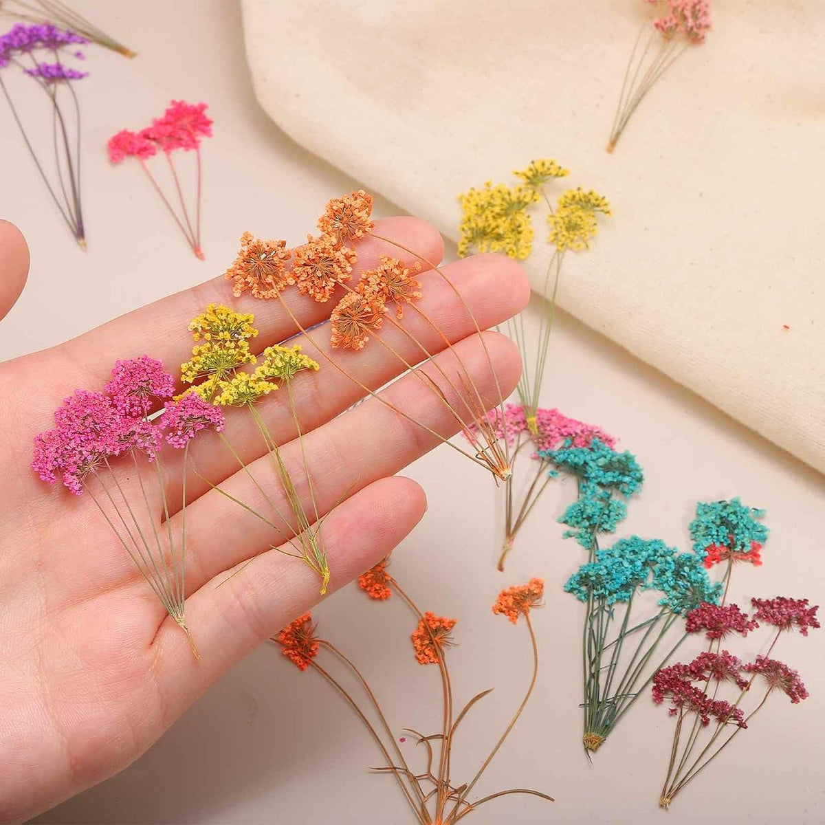6 Pcs Natural Dried Pressed Flowers for Craft, Lace Real Pressed Dried Flowers Colorful Bouquets for Resin Moulds DIY Scrapbooking Candle Jewelry Making, Pink
