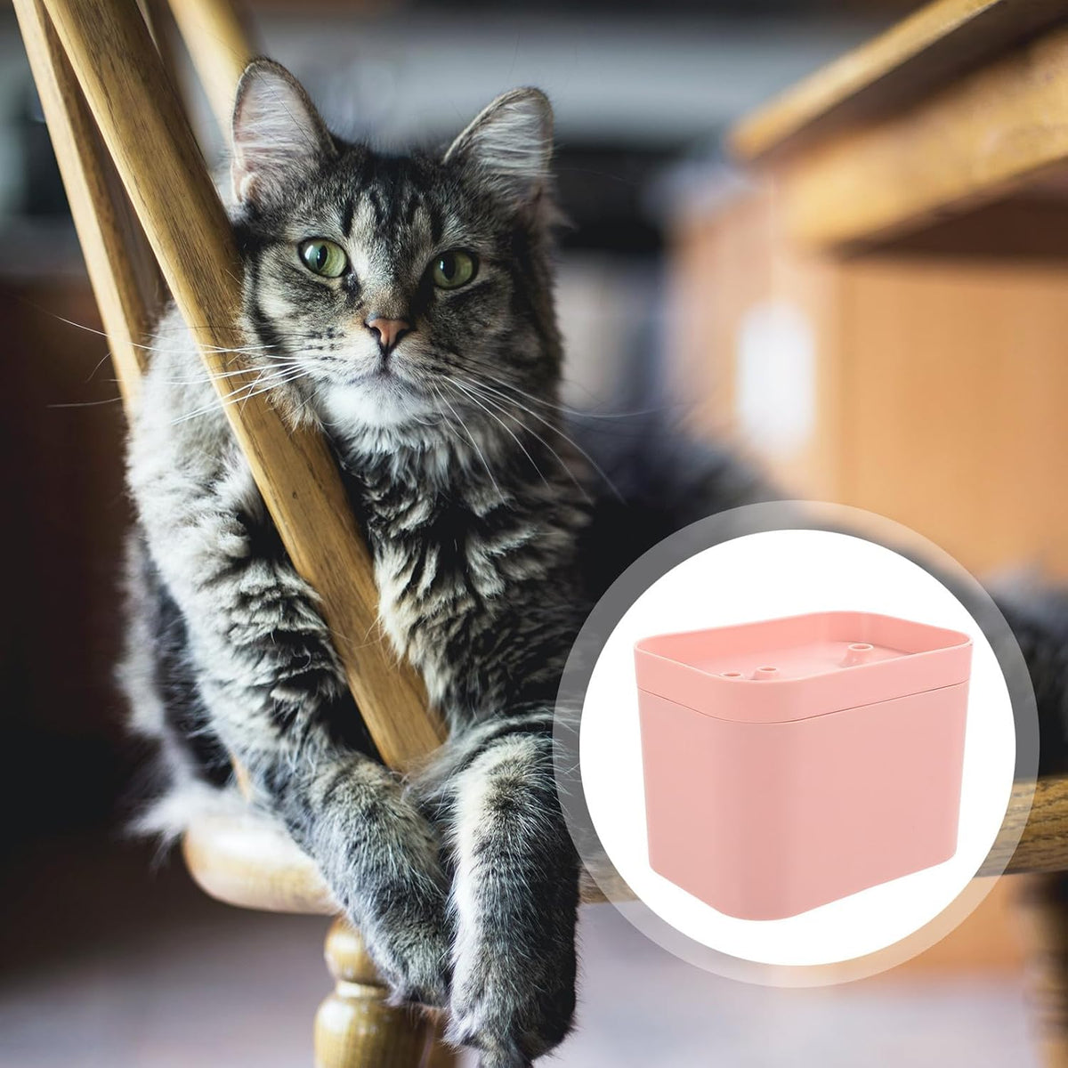 Automatic Cat Water Fountain Low Power Consumption Portable Design Pink Plastic Flower Shape Water Outlet for Kitten and Cat Drinking Modern Elegant Appearance