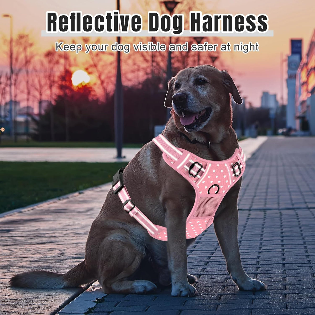 No Pull Dog Harness, Cute Reflective Small Sized Puppy Kitten Harness, Adjustable Soft Padded Vest for Small Dogs, Cats, Heavy Duty Pet Vest with Easy Control Handle for Walking, Pink Hearts