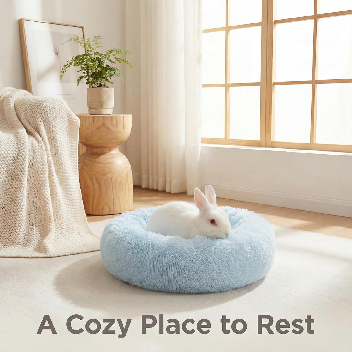 Guinea Pig Bed 11.8 Inch for Small Animal,Washable Small Animal Beds,Hideout Soft & Comfortable Donut Bed for Dwarf Rabbits/Hamster/Hedgehog/Ferrets,Blue and White